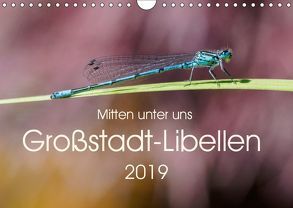 Mitten unter uns – Großstadt-Libellen (Wandkalender 2019 DIN A4 quer) von Wibke Hildebrandt,  Anne