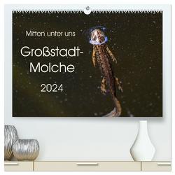 Mitten unter uns – Großstadt-Molche (hochwertiger Premium Wandkalender 2024 DIN A2 quer), Kunstdruck in Hochglanz von Wibke Hildebrandt,  Anne