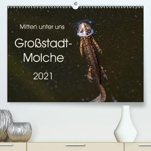 Mitten unter uns – Großstadt-Molche (Premium, hochwertiger DIN A2 Wandkalender 2021, Kunstdruck in Hochglanz) von Wibke Hildebrandt,  Anne