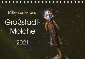 Mitten unter uns – Großstadt-Molche (Tischkalender 2021 DIN A5 quer) von Wibke Hildebrandt,  Anne