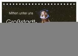 Mitten unter uns – Großstadt-Molche (Tischkalender 2024 DIN A5 quer), CALVENDO Monatskalender von Wibke Hildebrandt,  Anne