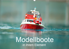 Modellboote in ihrem Element (Wandkalender 2021 DIN A2 quer) von Quentin,  Thomas