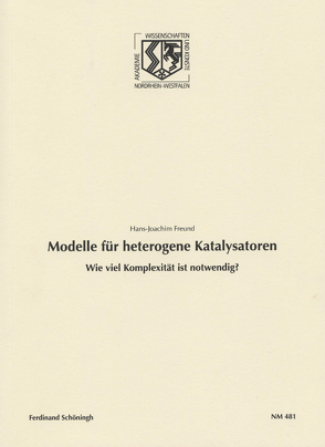 Modelle für heterogene Katalysatoren von Freund,  H J, Freund,  Hans-Joachim, Haneklaus,  Birgitt