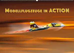 Modellflugzeuge in ACTION (Wandkalender 2023 DIN A2 quer) von Gödecke,  Dieter