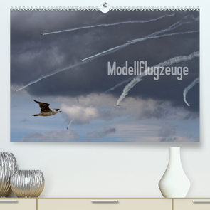 Modellflugzeuge Nr. 1 / 2021 (Premium, hochwertiger DIN A2 Wandkalender 2021, Kunstdruck in Hochglanz) von van Veenendaal Fotografie vv-design.com,  Nik