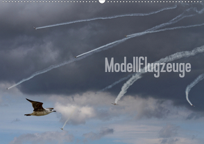 Modellflugzeuge Nr. 1 / 2021 (Wandkalender 2021 DIN A2 quer) von van Veenendaal Fotografie vv-design.com,  Nik