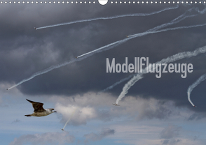 Modellflugzeuge Nr. 1 / 2021 (Wandkalender 2021 DIN A3 quer) von van Veenendaal Fotografie vv-design.com,  Nik