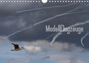 Modellflugzeuge Nr. 1 / 2021 (Wandkalender 2021 DIN A4 quer) von van Veenendaal Fotografie vv-design.com,  Nik