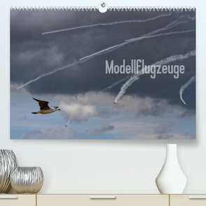 Modellflugzeuge Nr. 1 / 2022 (Premium, hochwertiger DIN A2 Wandkalender 2022, Kunstdruck in Hochglanz) von van Veenendaal Fotografie vv-design.com,  Nik