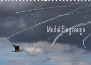 Modellflugzeuge Nr. 1 / 2022 (Wandkalender 2022 DIN A2 quer) von van Veenendaal Fotografie vv-design.com,  Nik