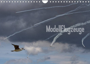 Modellflugzeuge Nr. 1 / 2022 (Wandkalender 2022 DIN A4 quer) von van Veenendaal Fotografie vv-design.com,  Nik