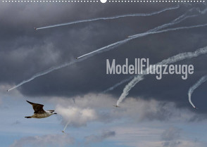 Modellflugzeuge Nr. 1 / 2023 (Wandkalender 2023 DIN A2 quer) von van Veenendaal Fotografie vv-design.com,  Nik