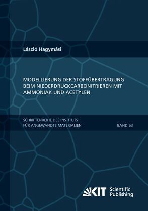 Modellierung der Stoffübertragung beim Niederdruckcarbonitrieren mit Ammoniak und Acetylen von Hagymási,  László