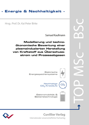 Modellierung und techno-ökonomische Bewertung einer plasmainduzierten Herstellung von Kraftstoff aus Überschussstrom und Prozessabgasen von Kaufmann,  Samuel Jaro