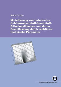 Modellierung von turbulenten Kohlenwasserstoff-Sauerstoff-Diffusionsflammen und deren Beeinflussung durch reaktionstechnische Parameter von Schön,  Astrid