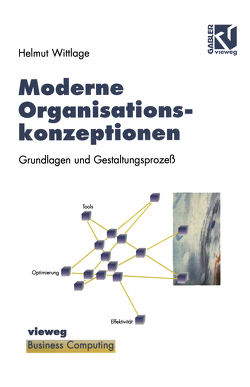 Moderne Organisationskonzeptionen von Wittlage,  Helmut