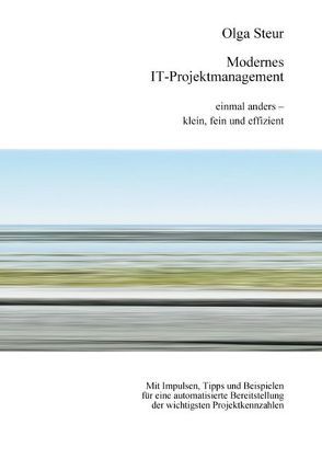 Modernes IT-Projektmanagement von Steur,  Olga