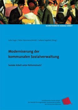 Modernisierung der kommunalen Sozialverwaltung von Dahme,  Heinz-Juergen, Grohs,  Stephan, Hagn,  Julia, Hammerschmidt,  Peter, Ortmann,  Friedrich, Roth,  Günter, Sagebiel,  Juliane, Wohlfahrt,  Norbert