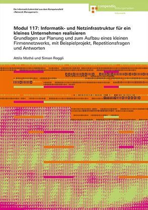 Modul 117: Informatik- und Netzinfrastruktur für ein kleines Unternehmen realisieren von Mathé,  Attila, Roggli,  Simon