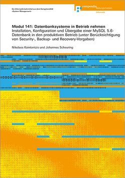 Modul 141: Datenbanksysteme in Betrieb nehmen von Kaintantzis,  Nikolaos, Scheuring,  Johannes