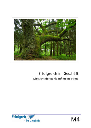 Modul 4: Die Sicht der Bank auf meine Firma von Caspary,  Martina, Gieschen,  Gerhard, Kriegelstein,  Susanne