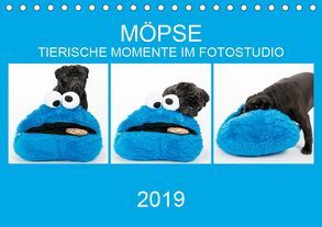 MÖPSE – tierische Momente im Fotostudio (Tischkalender 2019 DIN A5 quer) von Dodeck,  Ole