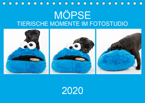 MÖPSE – tierische Momente im Fotostudio (Tischkalender 2020 DIN A5 quer) von Dodeck,  Ole