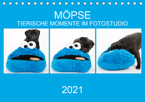 MÖPSE – tierische Momente im Fotostudio (Tischkalender 2021 DIN A5 quer) von Dodeck,  Ole