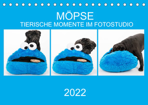 MÖPSE – tierische Momente im Fotostudio (Tischkalender 2022 DIN A5 quer) von Dodeck,  Ole