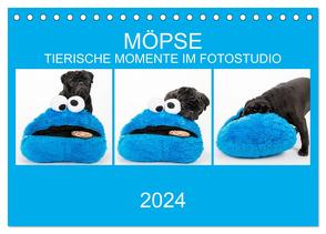 MÖPSE – tierische Momente im Fotostudio (Tischkalender 2024 DIN A5 quer), CALVENDO Monatskalender von Dodeck,  Ole