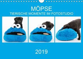 MÖPSE – tierische Momente im Fotostudio (Wandkalender 2019 DIN A4 quer) von Dodeck,  Ole