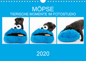 MÖPSE – tierische Momente im Fotostudio (Wandkalender 2020 DIN A4 quer) von Dodeck,  Ole