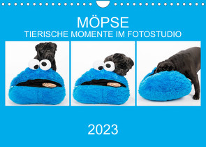 MÖPSE – tierische Momente im Fotostudio (Wandkalender 2023 DIN A4 quer) von Dodeck,  Ole