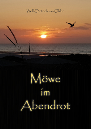 Möwe im Abendrot von Ohlen,  Wolf-Dietrich von