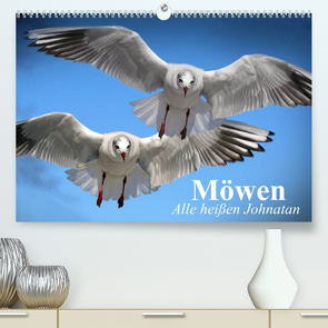 Möwen. Alle heißen Johnatan (Premium, hochwertiger DIN A2 Wandkalender 2023, Kunstdruck in Hochglanz) von Stanzer,  Elisabeth