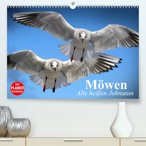 Möwen. Alle heißen Johnatan (Premium, hochwertiger DIN A2 Wandkalender 2023, Kunstdruck in Hochglanz) von Stanzer,  Elisabeth