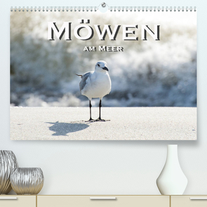 Möwen am Meer (Premium, hochwertiger DIN A2 Wandkalender 2023, Kunstdruck in Hochglanz) von Styppa,  Robert