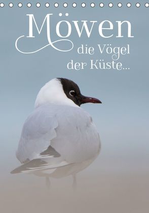 Möwen – die Vögel der Küste (Tischkalender 2019 DIN A5 hoch) von Spiegler (anneliese-photography),  Heidi