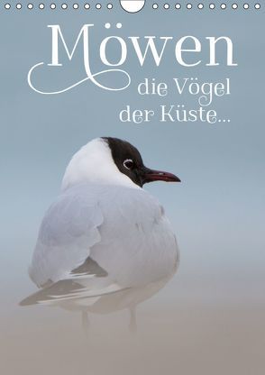 Möwen – die Vögel der Küste (Wandkalender 2019 DIN A4 hoch) von Spiegler (anneliese-photography),  Heidi