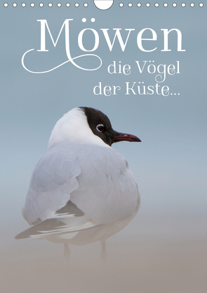 Möwen – die Vögel der Küste (Wandkalender 2021 DIN A4 hoch) von Spiegler (anneliese-photography),  Heidi