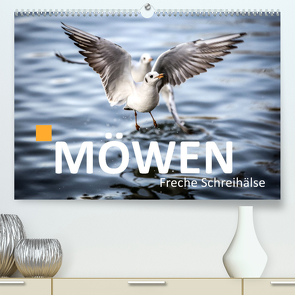 MÖWEN Freche Schreihälse (Premium, hochwertiger DIN A2 Wandkalender 2023, Kunstdruck in Hochglanz) von Maertens,  Bernd