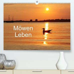 Möwen Leben (Premium, hochwertiger DIN A2 Wandkalender 2023, Kunstdruck in Hochglanz) von Riedel,  Tanja