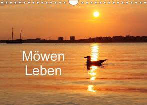 Möwen Leben (Wandkalender 2023 DIN A4 quer) von Riedel,  Tanja