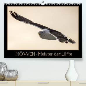 Möwen – Meister der Lüfte (Premium, hochwertiger DIN A2 Wandkalender 2022, Kunstdruck in Hochglanz) von Schwarz Fotografie,  Thomas