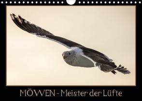 Möwen – Meister der Lüfte (Wandkalender 2021 DIN A4 quer) von Schwarz Fotografie,  Thomas