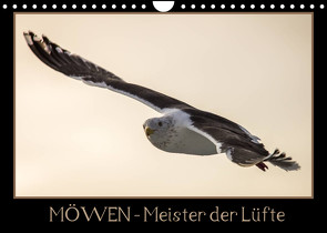 Möwen – Meister der Lüfte (Wandkalender 2022 DIN A4 quer) von Schwarz Fotografie,  Thomas