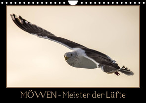 Möwen – Meister der Lüfte (Wandkalender 2023 DIN A4 quer) von Schwarz Fotografie,  Thomas