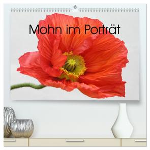 Mohn im Porträt (hochwertiger Premium Wandkalender 2024 DIN A2 quer), Kunstdruck in Hochglanz von Kruse,  Gisela