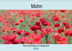 Mohn – rote Schönheiten am Wegesrand (Wandkalender 2020 DIN A3 quer) von Mellentin,  Carola
