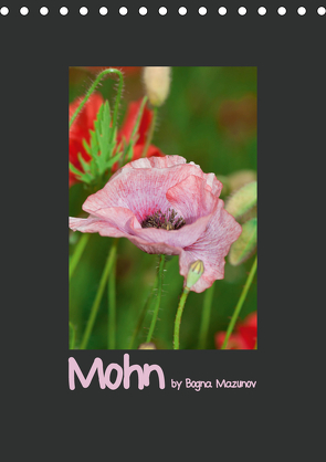 Mohn (Tischkalender 2021 DIN A5 hoch) von Mazunov,  Bogna